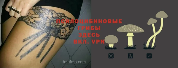 соль ск Медногорск