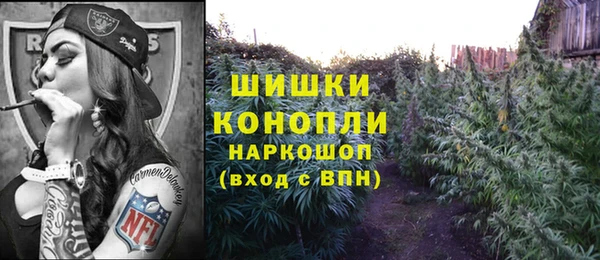 дурь Магас