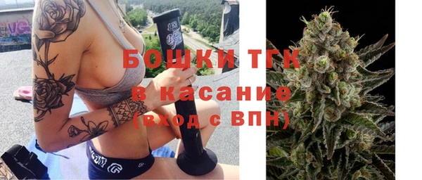 дурь Магас