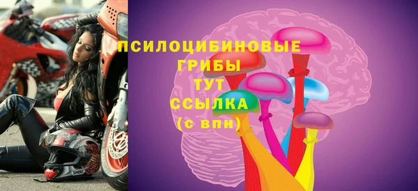 индика Магадан