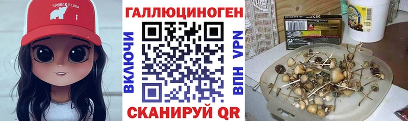 Галлюциногенные грибы Psilocybe Салават