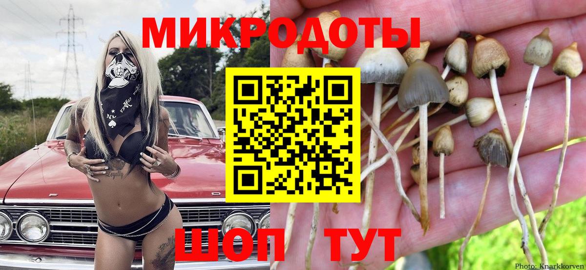 Салават  Галлюциногенные грибы мицелий  Вход с VPN 