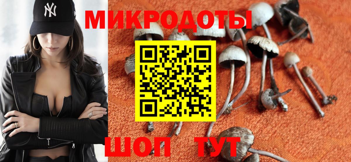 Псилоцибиновые грибы Magic Shrooms  Салават  Галлюциногенные грибы MAGIC MUSHROOMS 