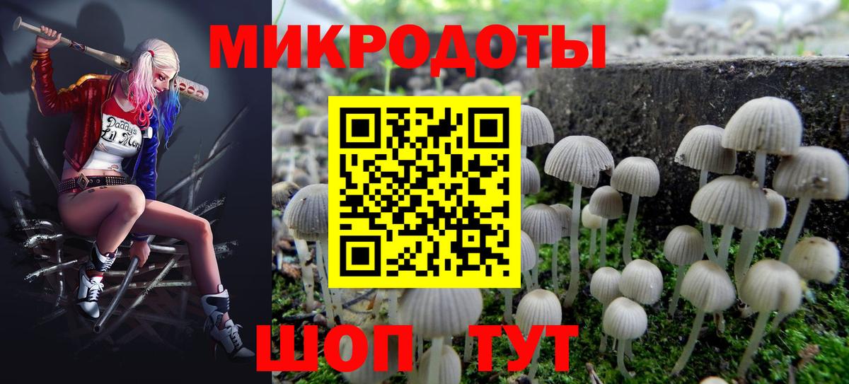 Псилоцибиновые грибы ЛСД Салават
